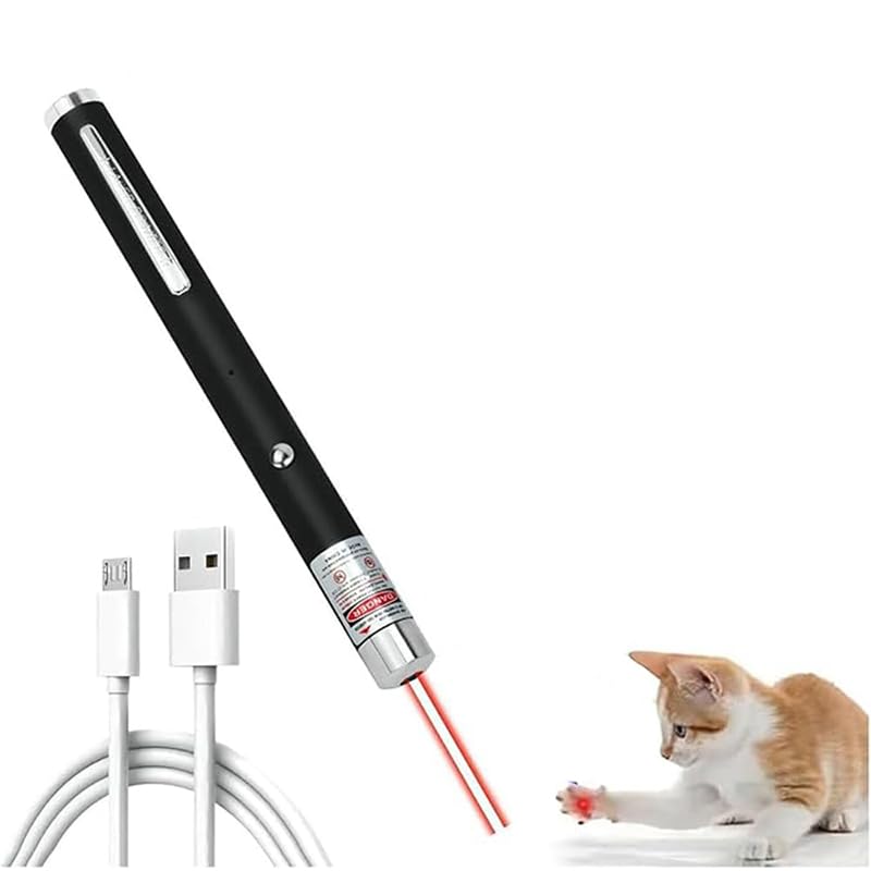 Pointeur laser WNZQK avec clip et design portable.