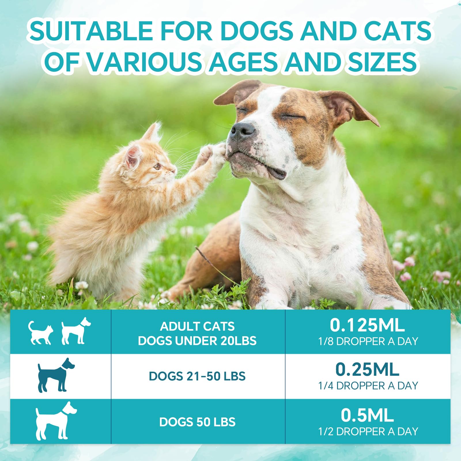 Camling Woyamay favorise le calme et le bien-être des animaux grâce aux oméga.