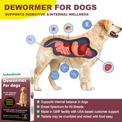 Woaitme vermifuge chiens – emballage pratique de 24 comprimés.