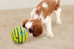 Boule Wobble Wag Giggle avec poches de préhension facilitant la saisie.