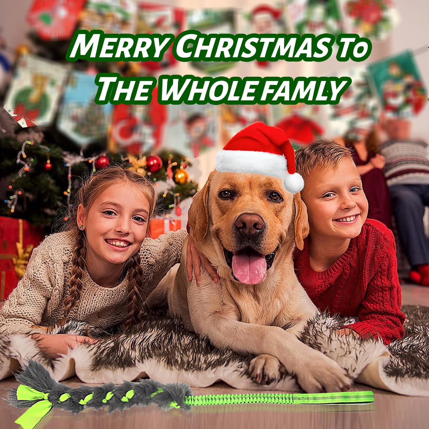 Wodoca: idée cadeau Noël, jouet mordant interactif pour chien.