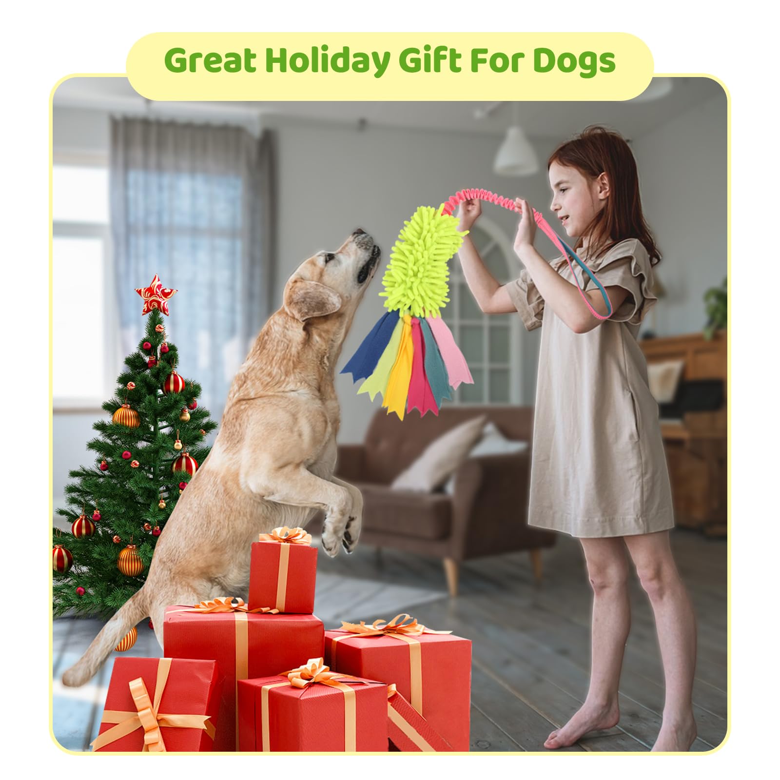 Jouet wodoca activités-exterieures-chien – parfait pour jeux en plein air et entraînement.