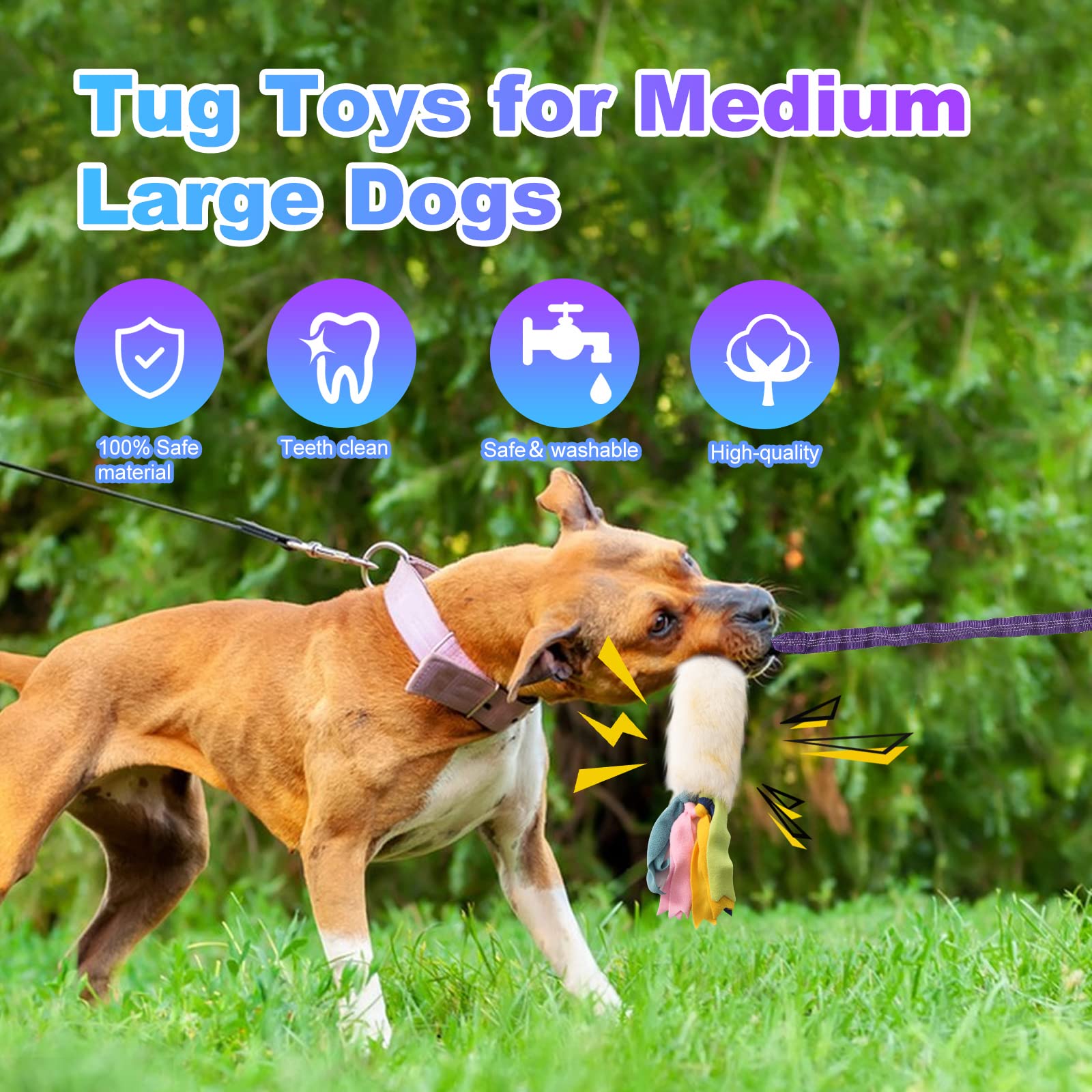 Jouet wodoca zone d’entraînement chien interactif pour activités variées.