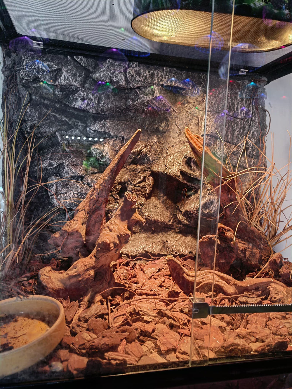 WOLEDOE Ambiance terrarium désertique, base roche stable pour un habitat sûr.