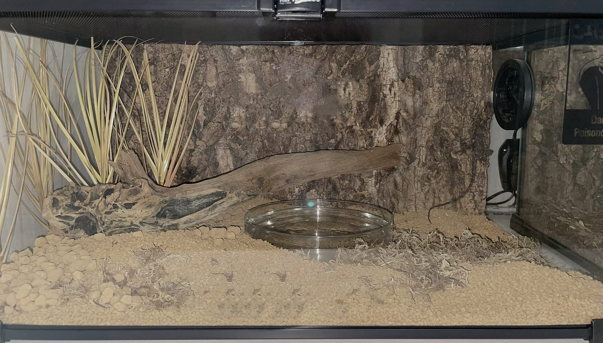 WOLEDOE Décor terrarium dragon barbu, invite à l'exploration et au repos.