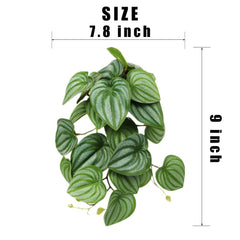 WOLEDOE feuillage 3D Calathea Orbifolia avec nervures claires pour un visuel réaliste.