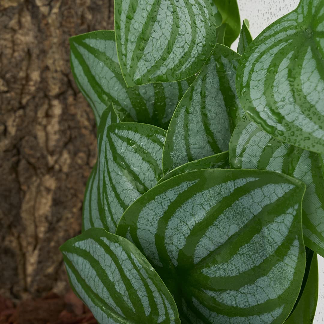 WOLEDOE feuillage qui bouge dans le vent offre un effet naturel apaisant.