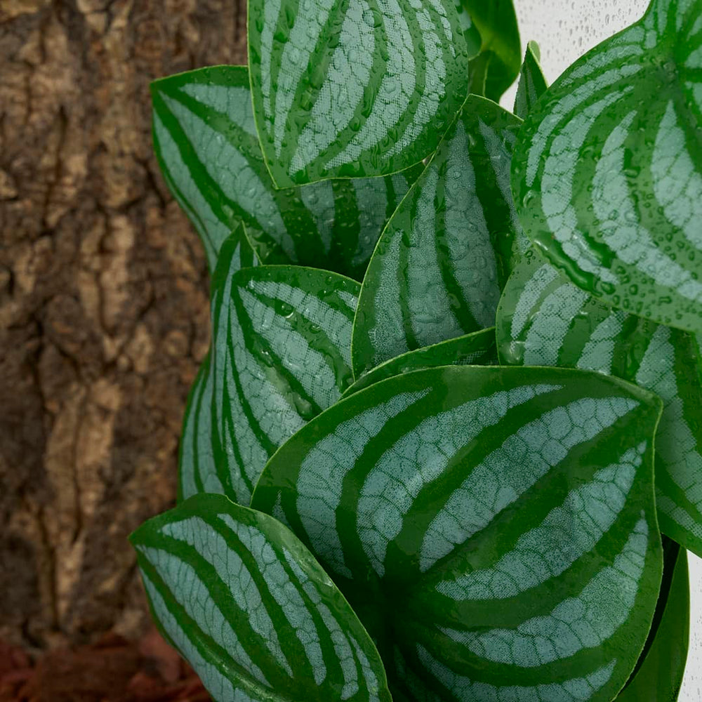 WOLEDOE feuillage qui bouge dans le vent offre un effet naturel apaisant.