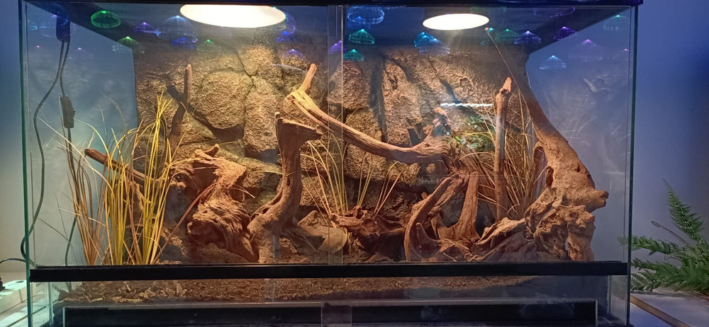 WOLEDOE Plante artificielle reptile gecko, cadre désertique réaliste sans arrosage.