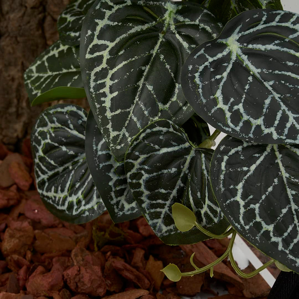 WOLEDOE décor végétal pour terrarium, offre refuge visuel pour reptiles.