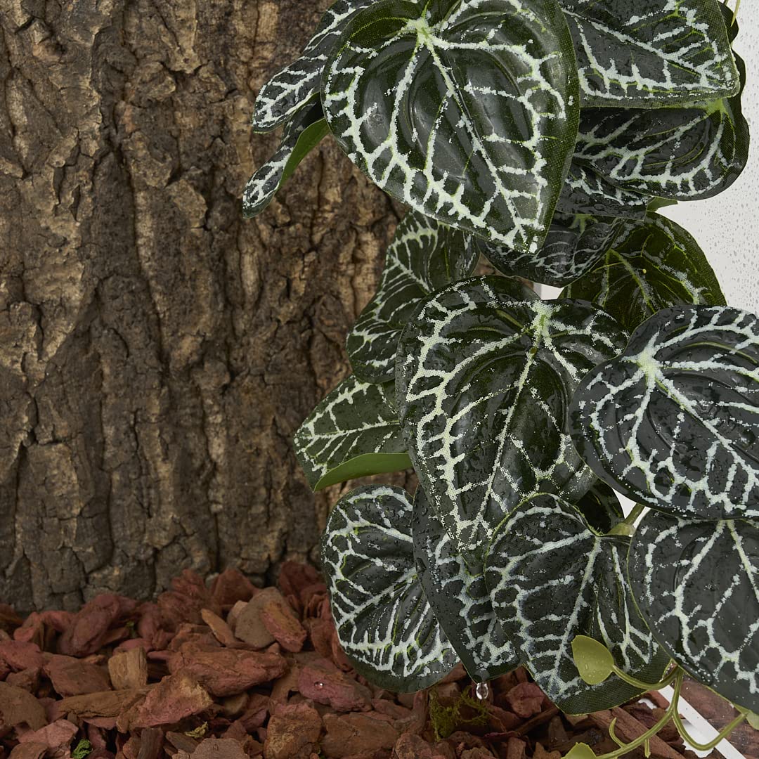 WOLEDOE plante suspendue Anthurium Crystallinum, motif réaliste, facile à installer.