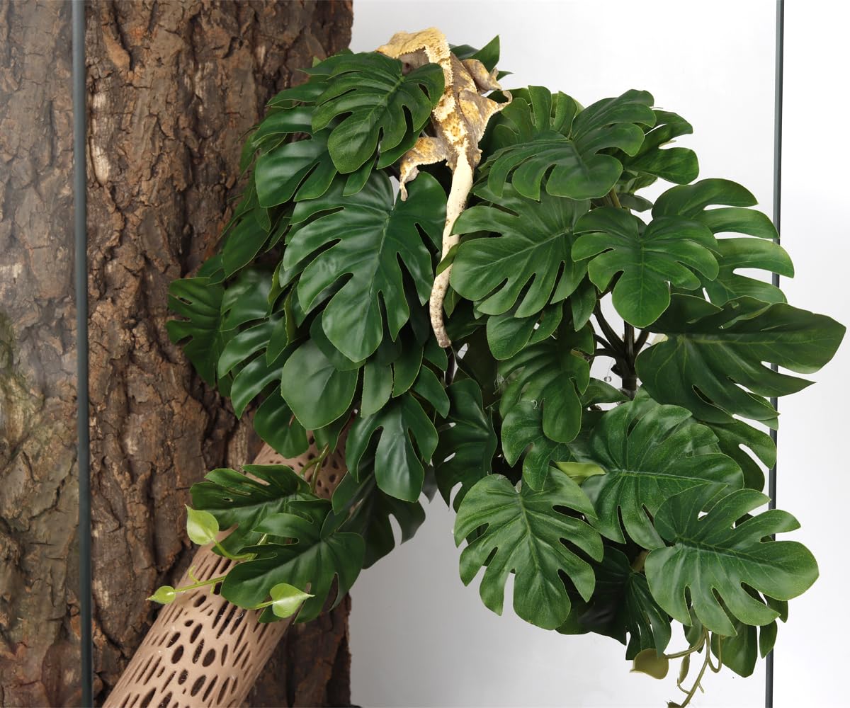 WOLEDOE Branche artificielle pour terrarium, ambiance plus naturelle