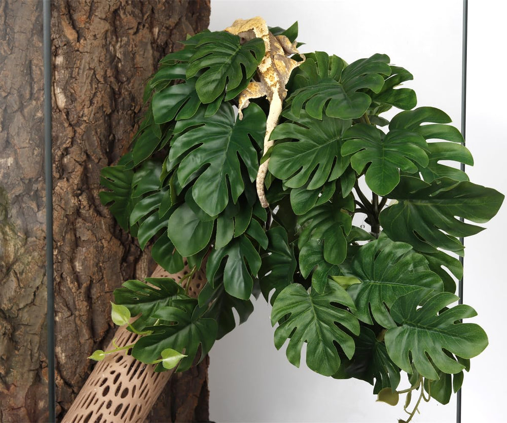 WOLEDOE Branche artificielle pour terrarium, ambiance plus naturelle