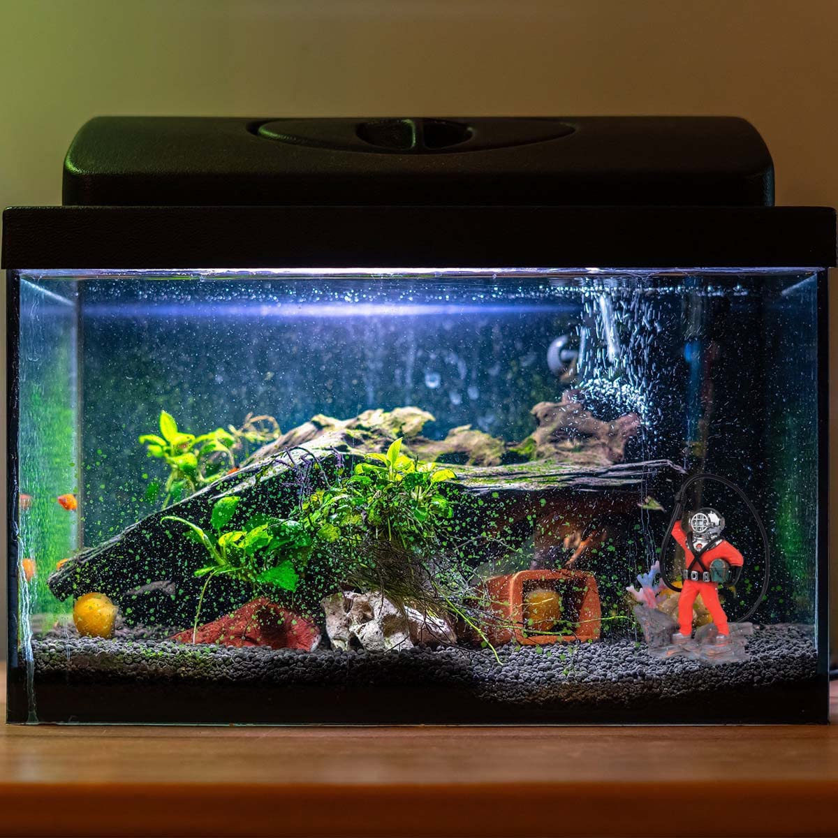 Plongeur Wolfride rouge, parfait pour un décor aquatique moderne.