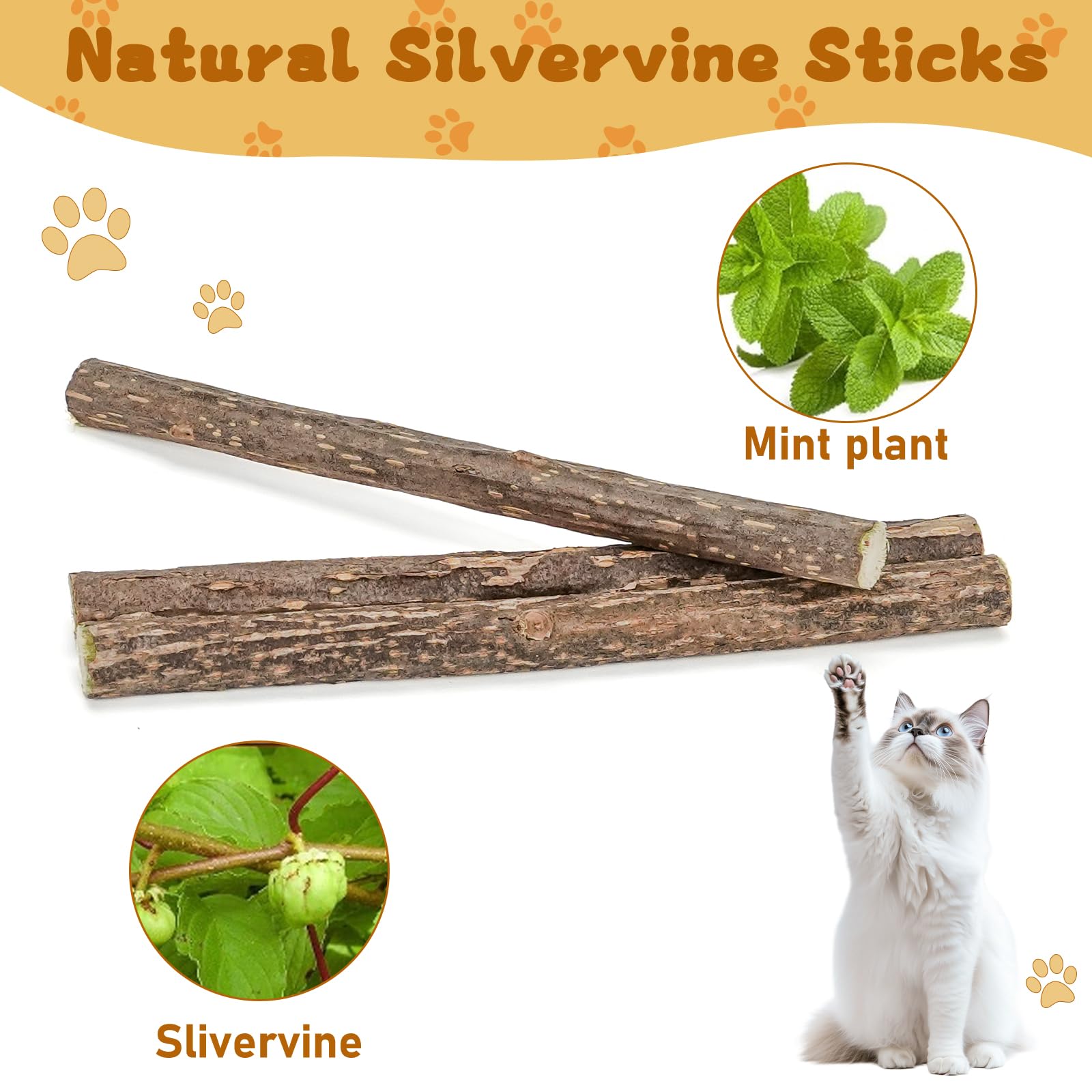 WoLover Matatabi chat: expériences aromatiques apaisantes et stimulation naturelle.