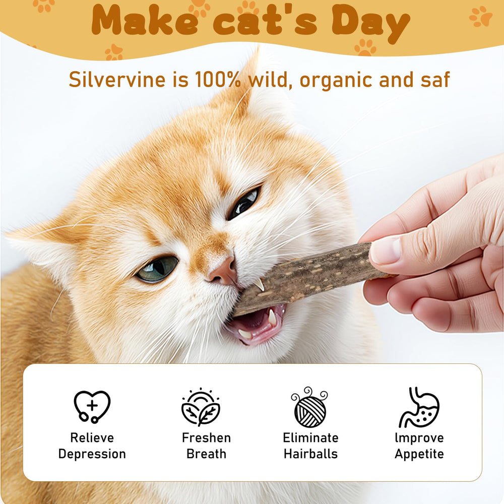 WoLover Matatabi chat: douceur naturelle favorisant digestion et bien-être.