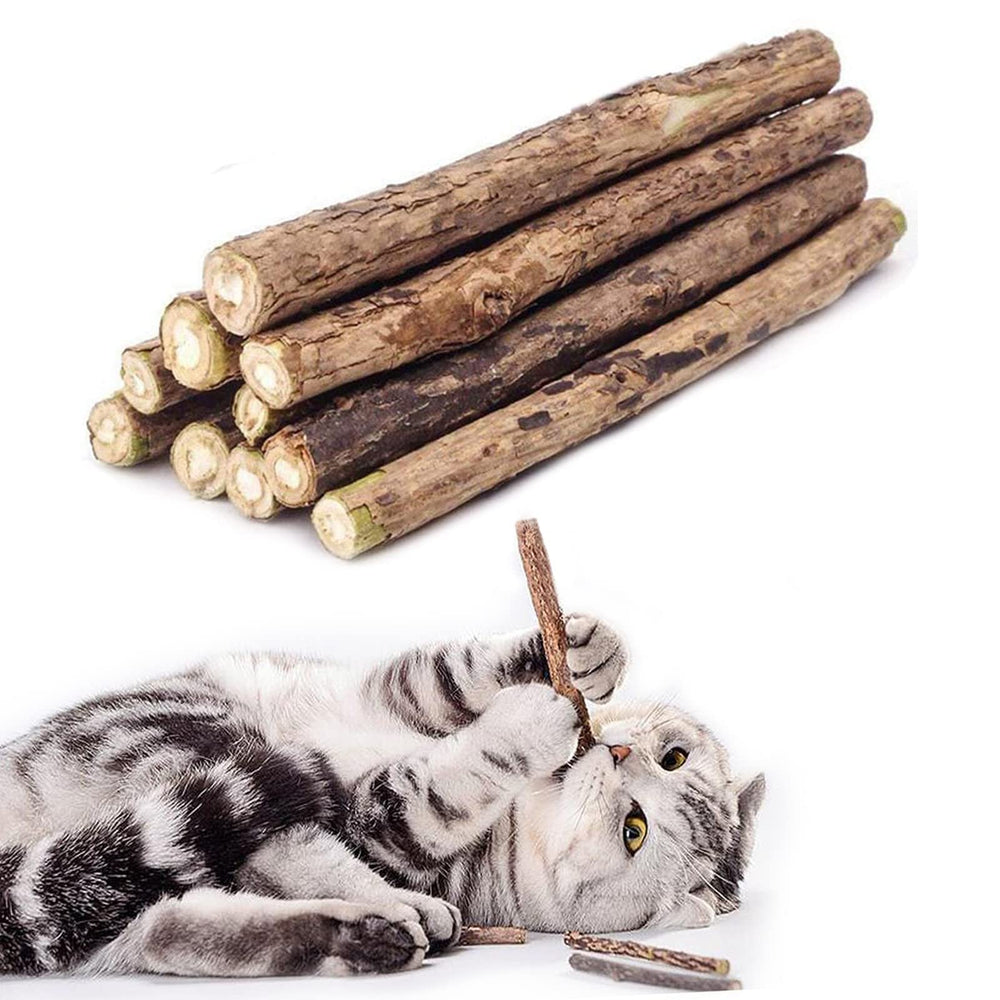 WoLover batonnets silvervine emballage: expérience naturelle et sûre pour chat