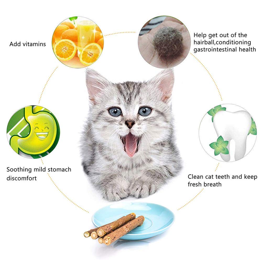 WoLover bâtons cataire-verveine argentée chat mordillant: stimule l’activité et le jeu.