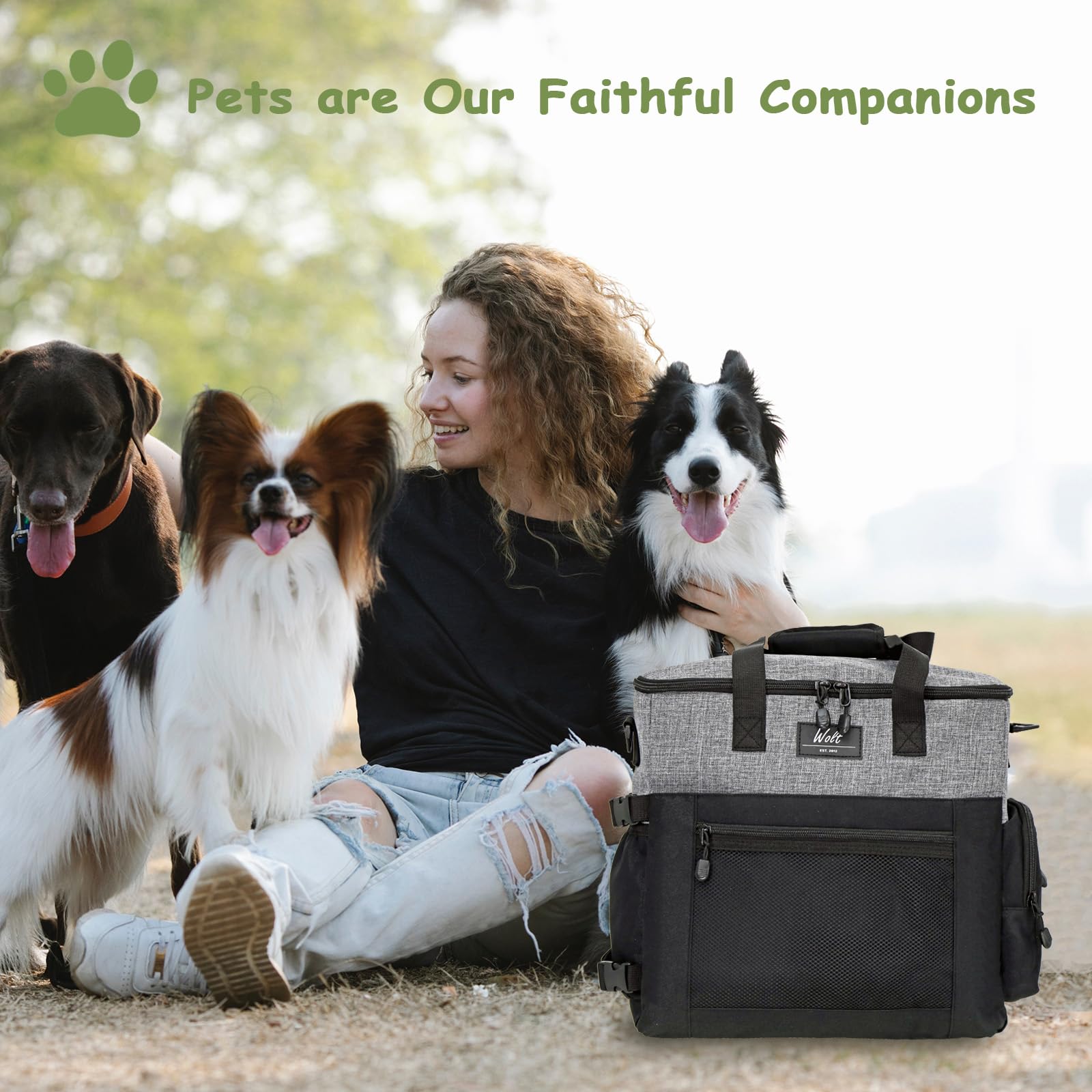 Sac voyage chien WOLT: organisation efficace pour trajets et sorties.