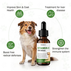 Gouttes WOMRICH Vitamin E dans la bouche pour une administration facile.