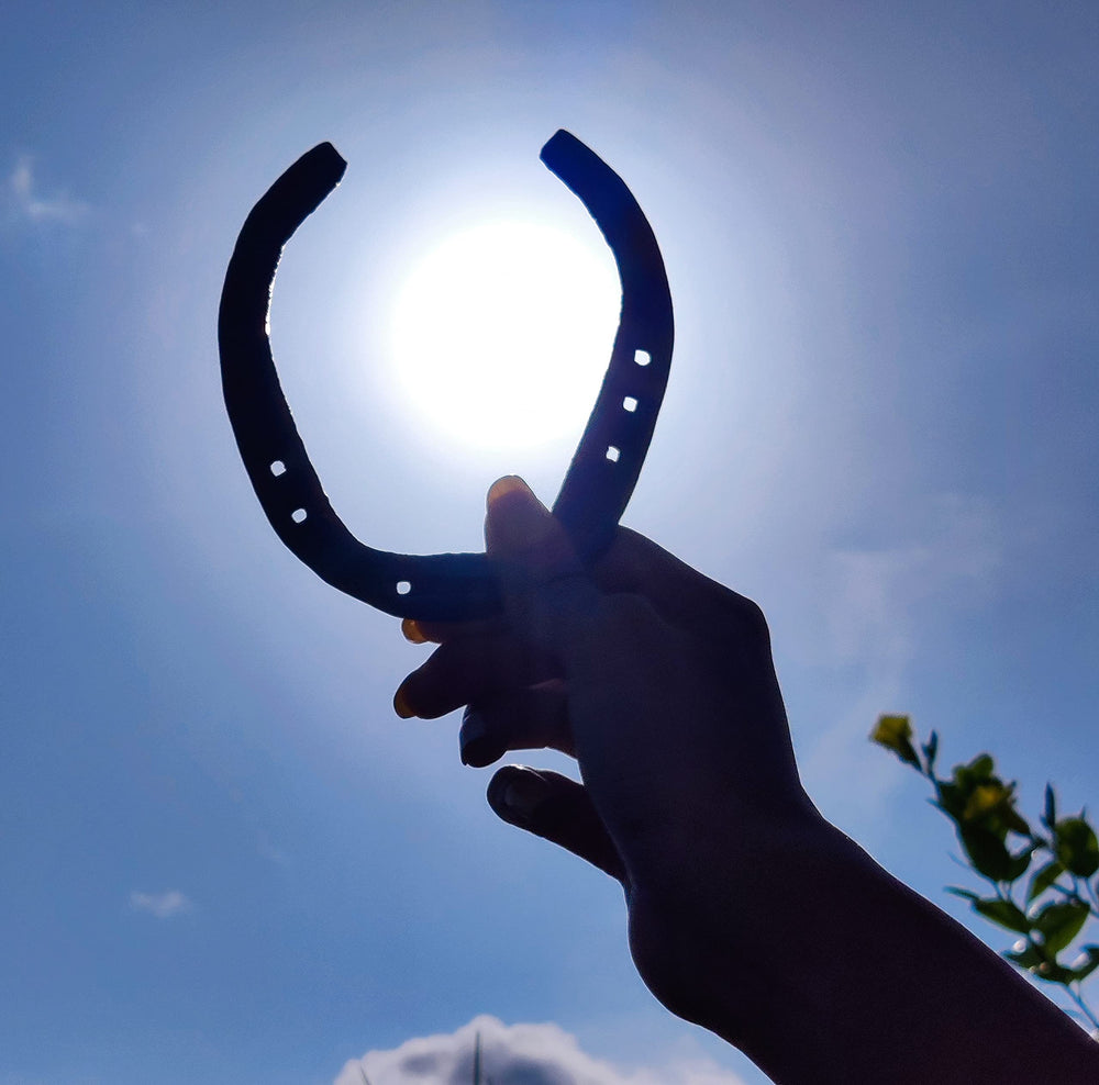 Wonder Care fer-horseshoe-objet-decoratif: piece unique et durable.