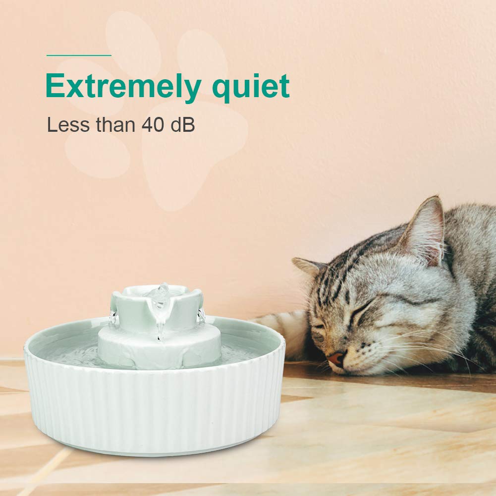 Wonder Creature fontaine design intérieur chic pour chat ou petit chien.