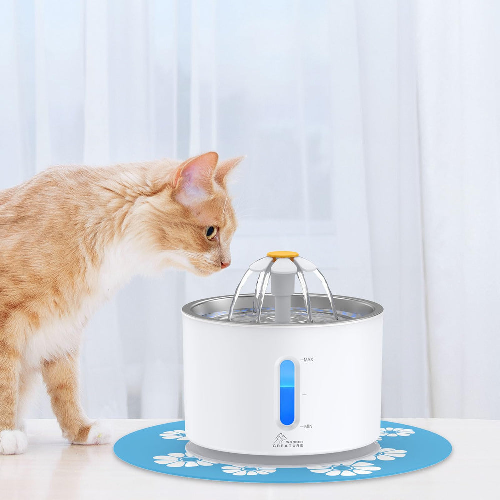 Wonder Creature fontaine avec 3 filtres et tapis inclus pour maintenance pratique.