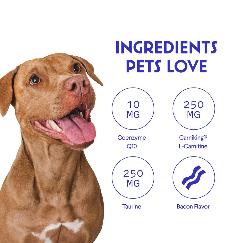 Label Carniking L-Carnitine dans Wonder Paws Cardio, soutien potentiel à l'énergie
