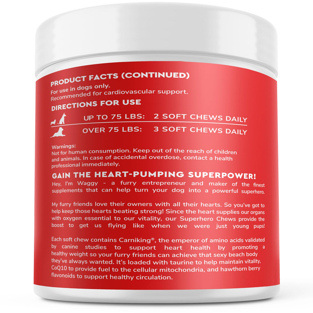 Chien en routine quotidienne avec Wonder Paws Cardio, intégration simple