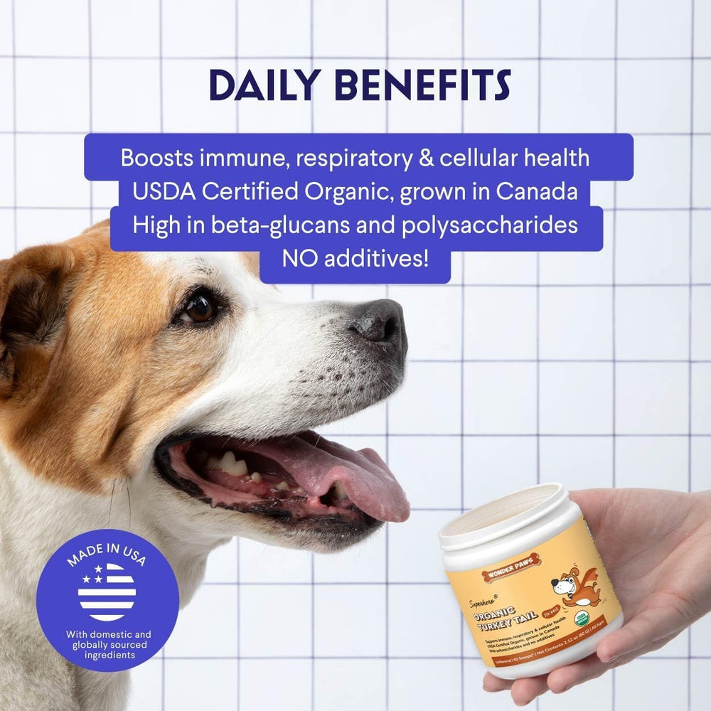 Chien savourant la poudre Wonder Paws queue-dinde sur sa nourriture.