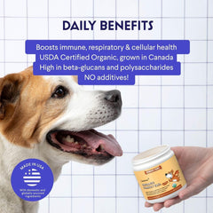 Chien savourant la poudre Wonder Paws queue-dinde sur sa nourriture.
