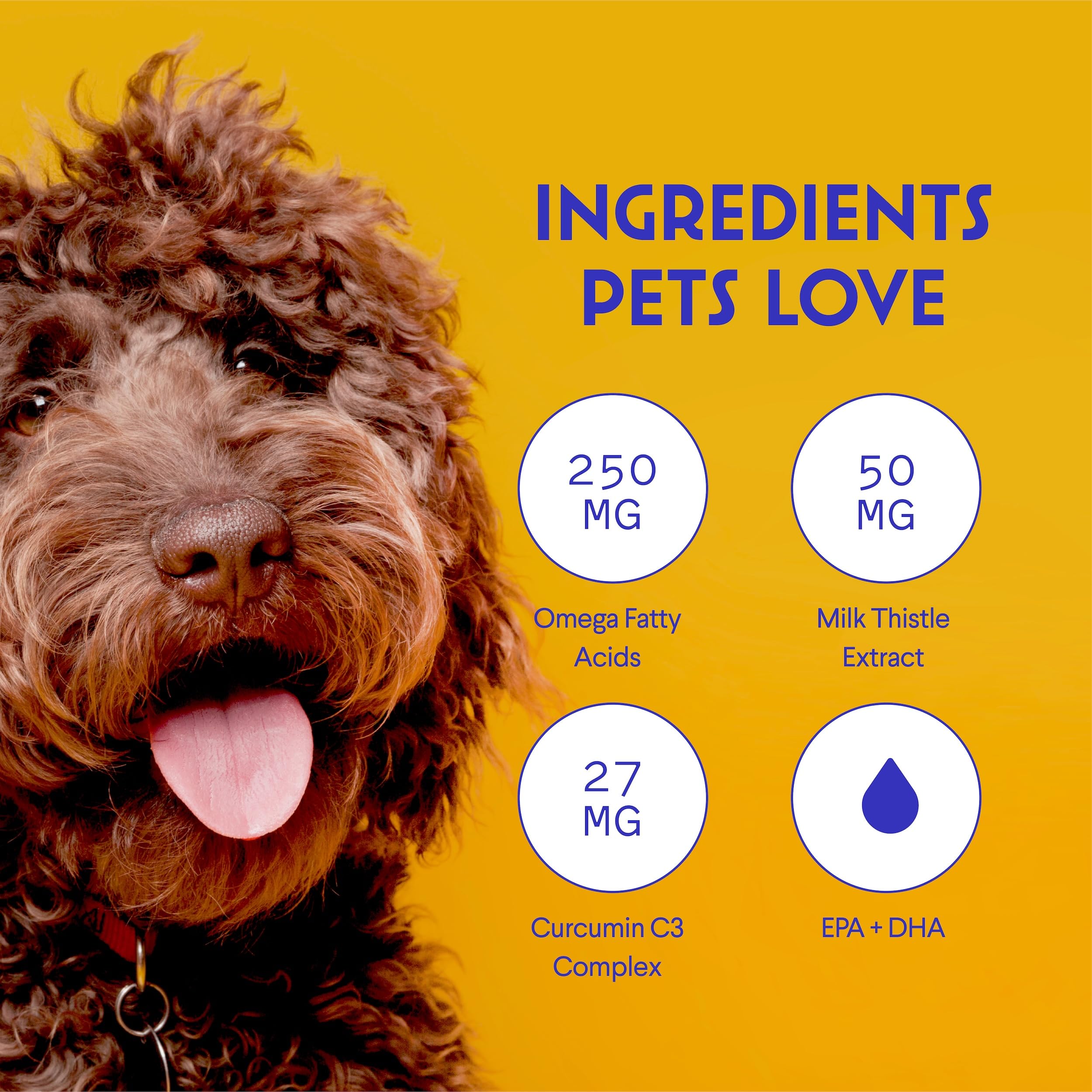 Wonder Paws curcumine: complexe naturel, potentiel soutien au quotidien.