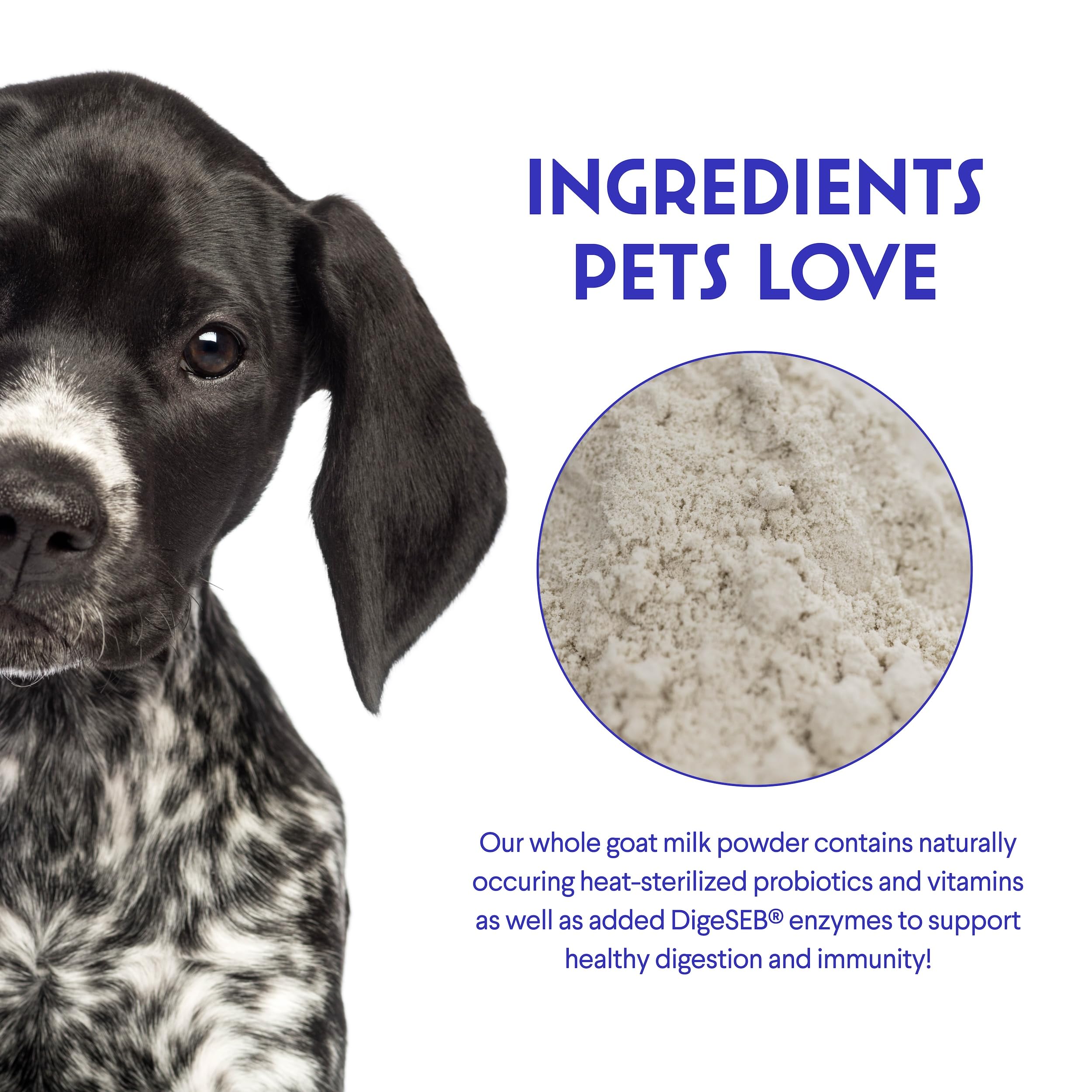 Wonder Paws emballage pratique, NASC certifiée pour la qualité.