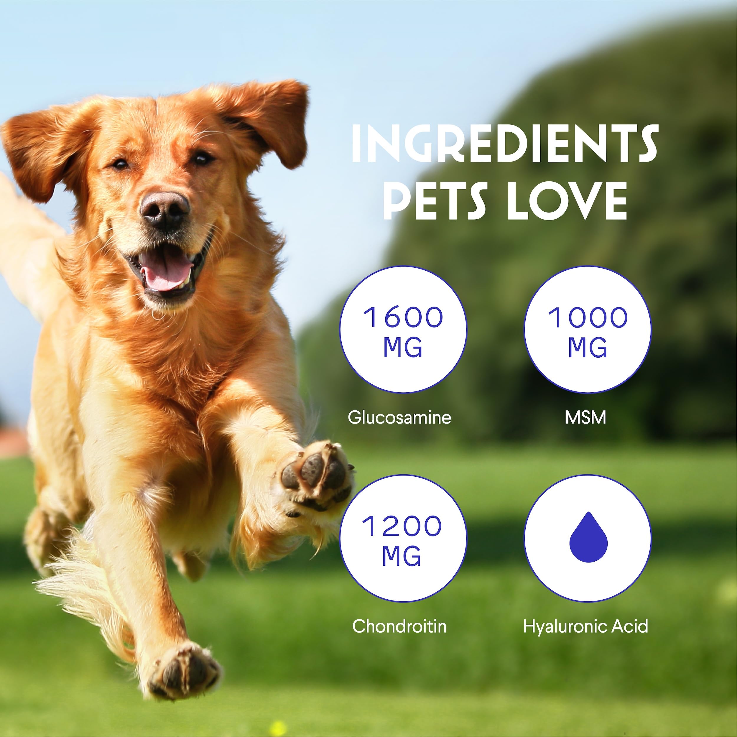 Dosage quotidien facilité avec Wonder Paws glucosamine, ajout au repas.