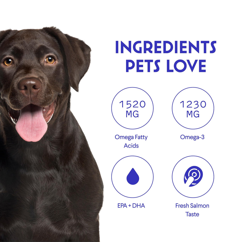 Wonder Paws – sources saumon sauvage pour peau et pelage.