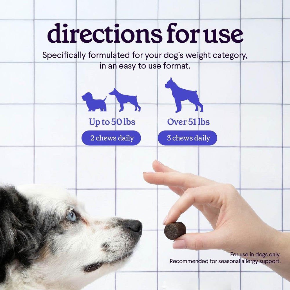 Wonder Paws ingrédients et nutriments – choix nutritionnel pour la routine canine.