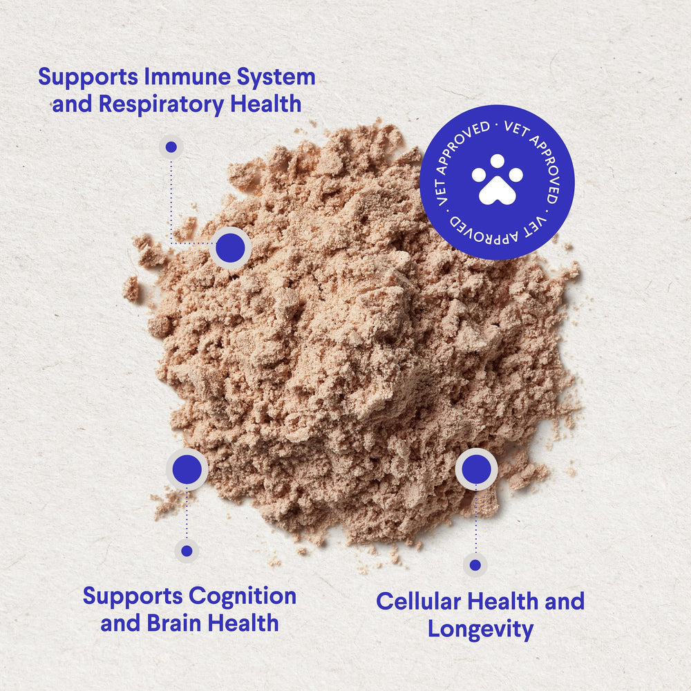 Wonder Paws neuf champignons bio, formulation riche et équilibrée pour chiens.