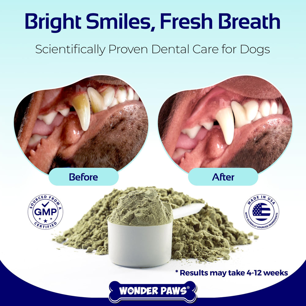 Wonder Paws Poudre Dentaire dans la nourriture du chien pour des dents propres.