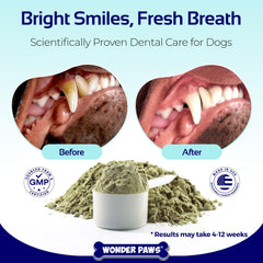 Wonder Paws Poudre Dentaire dans la nourriture du chien pour des dents propres.
