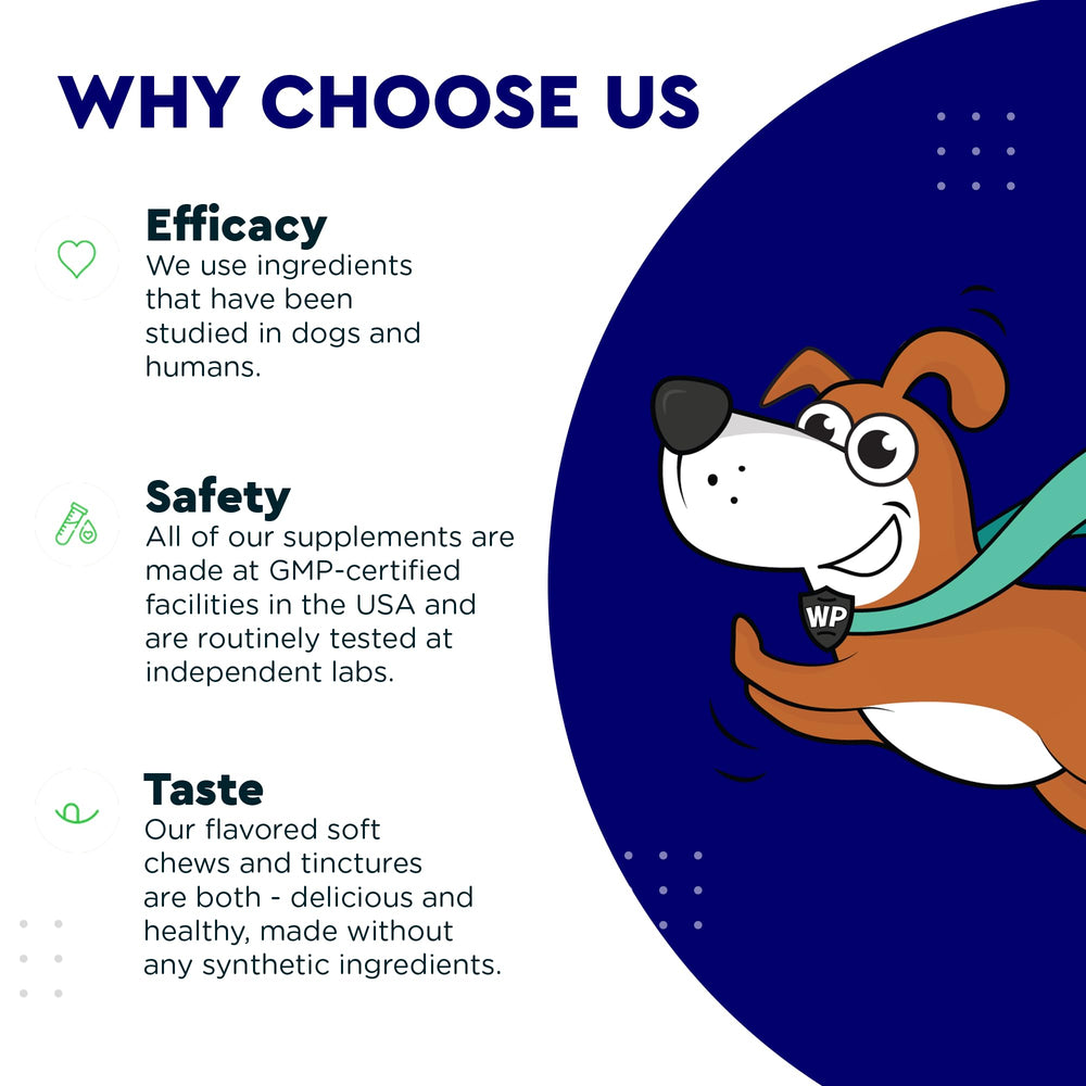 Wonder Paws Poudre Dentaire – dose adaptée selon la taille du chien.