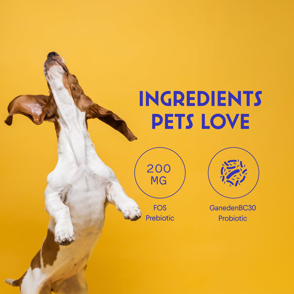 Wonder Paws Probiotiques – soutien immunitaire grâce aux prébiotiques