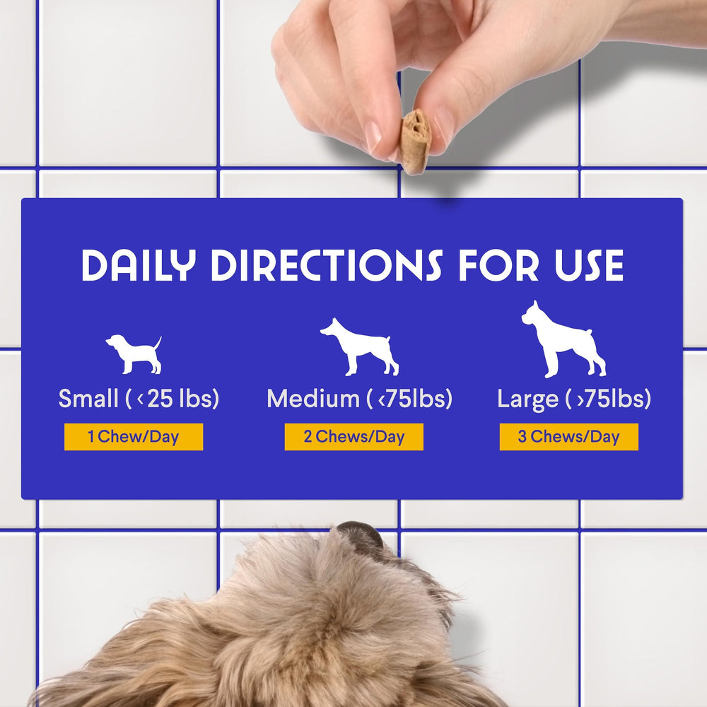 Wonder Paws Probiotiques – prébiotiques FOS pour flore intestinale du chien