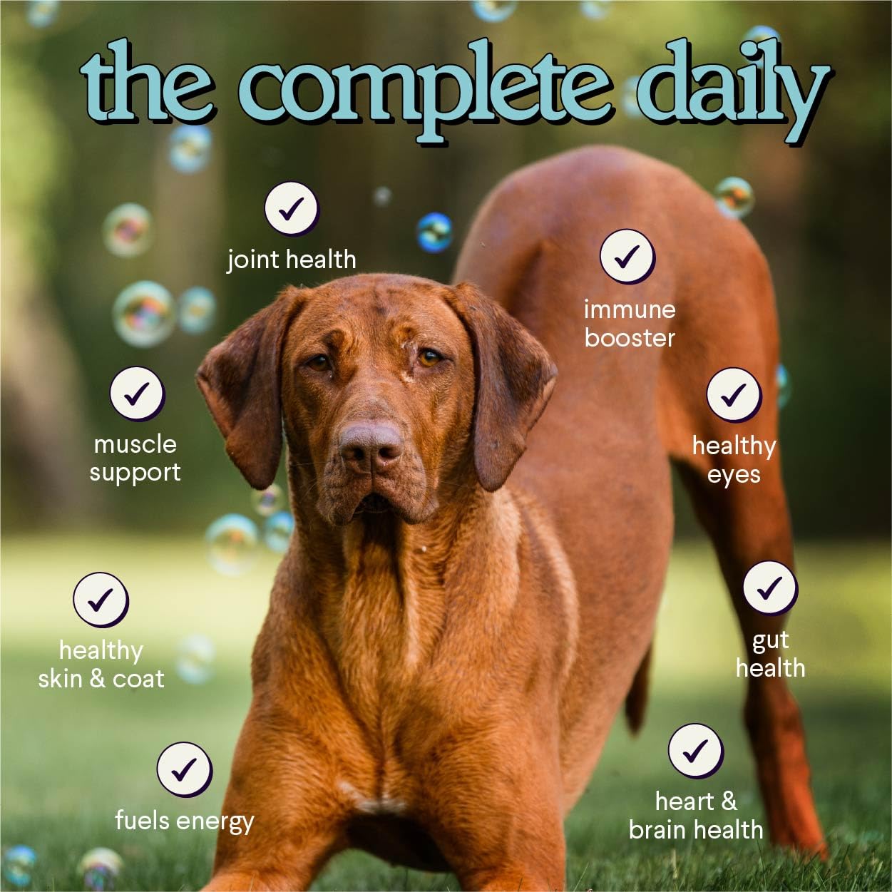 Peau et pelage sains grâce à Wonder Paws Daily Scoop multivitamine