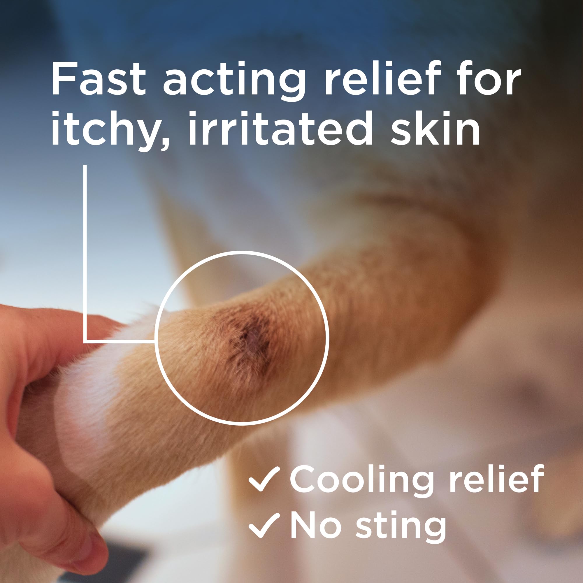 Application sur les pattes avec le spray Wondercide Rescue.