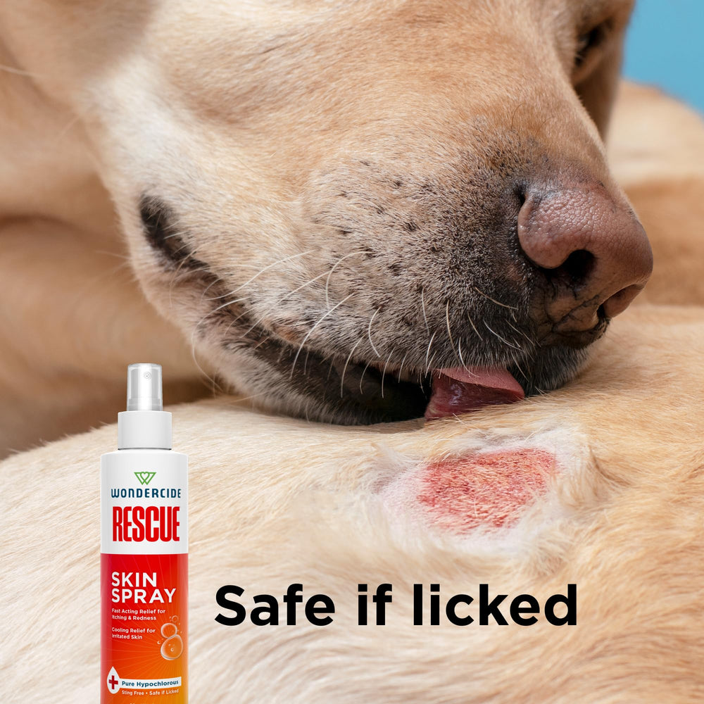 Sous-poil et zone sous le pelage grâce au spray Wondercide Rescue.