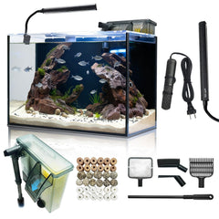 Wonderfactory aquarium 10-gallon en verre HD offre une vue nette.