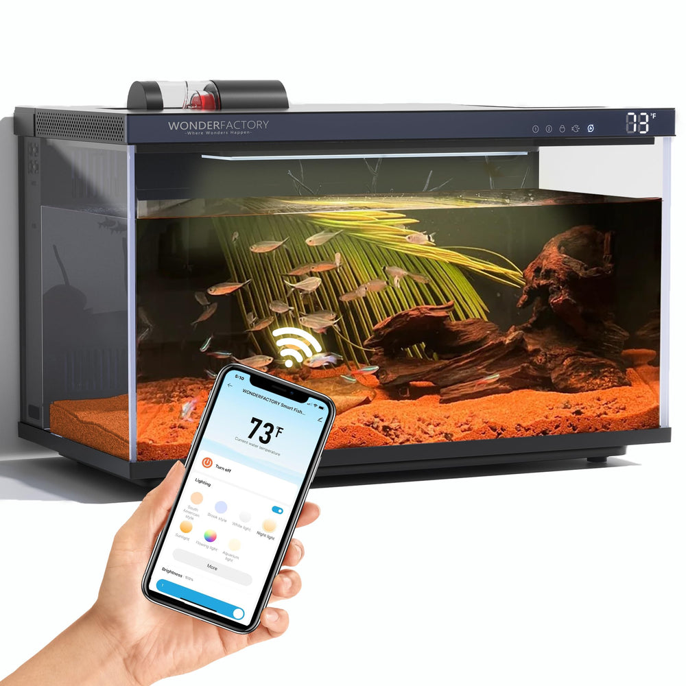 Wonderfactory Aquarium Intelligent 5 gal avec verre HD pour observation claire des poissons.