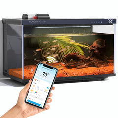 Wonderfactory Aquarium Intelligent 5 gal avec verre HD pour observation claire des poissons.