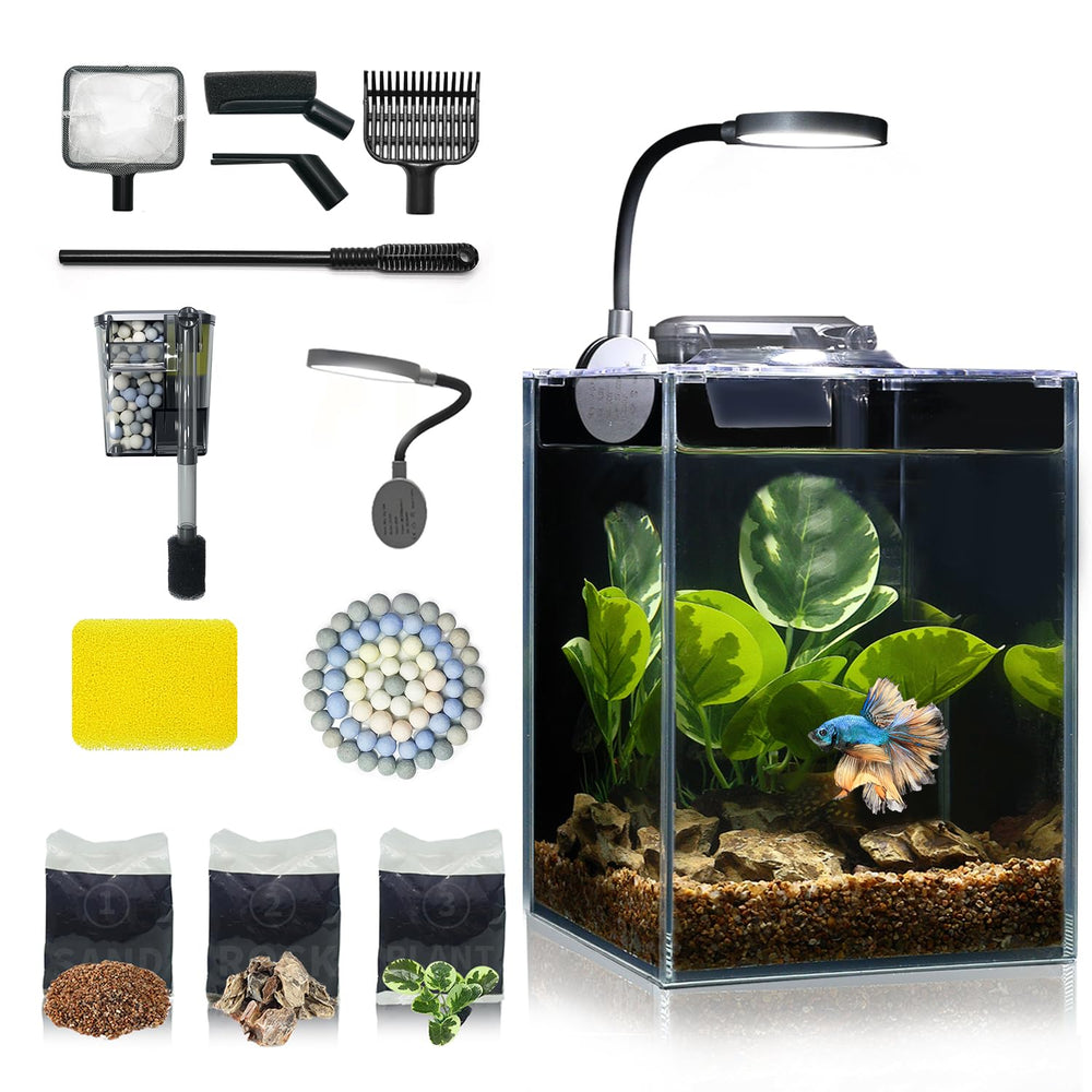 Wonderfactory Desktop Aquarium avec verre HD 4 mm et LED pour vue nette et lumineuse.