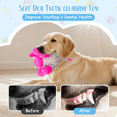 Wonfly peluche âne coton sûr, durable et résistante à la morsure